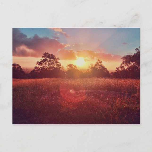 Sunset Postcard (Front)