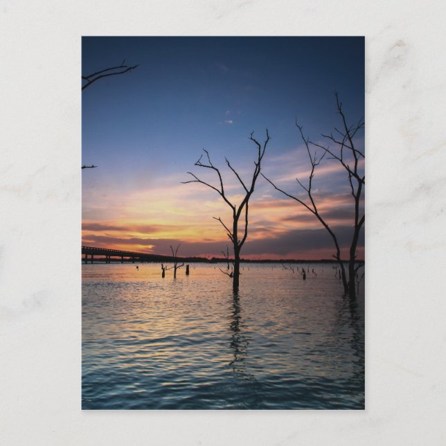 Sunset Postcard (Front)