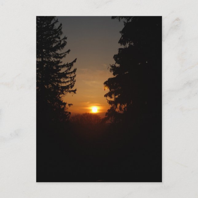 Sunset Postcard 4/29/07 (Front)