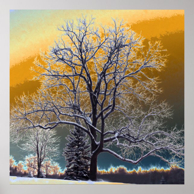 Sunset Poster (Front)