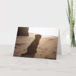 sunset puggle card