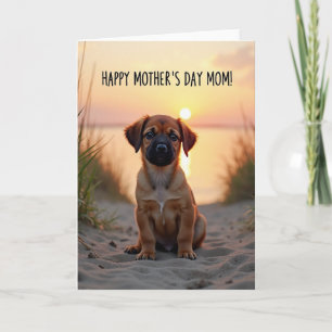 Sunset Puppy Mothers Day Card