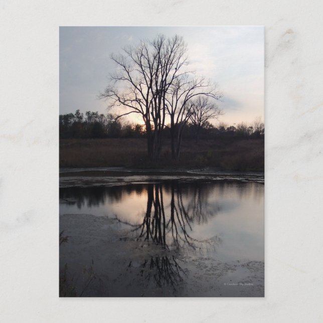 Sunset Reflections Photo Postcard (Front)