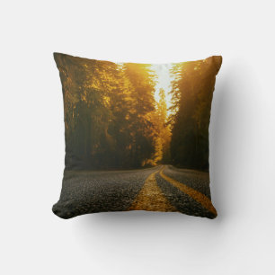 Sunset Road Cushion
