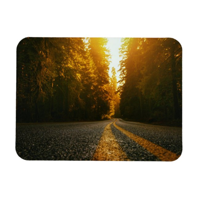 Sunset Road Magnet (Horizontal)