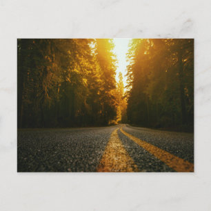 Sunset Road Postcard