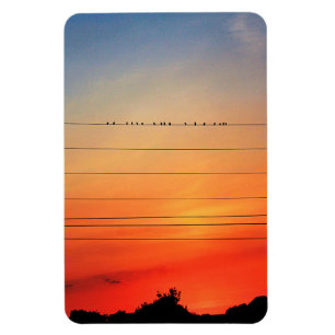 Sunset Roost Fine Art Photography Magnet