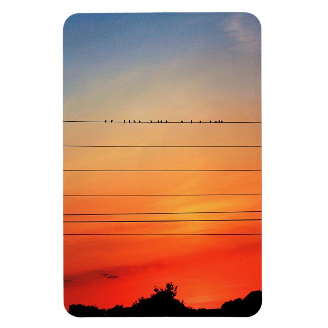 Sunset Roost Fine Art Photography Magnet (Vertical)
