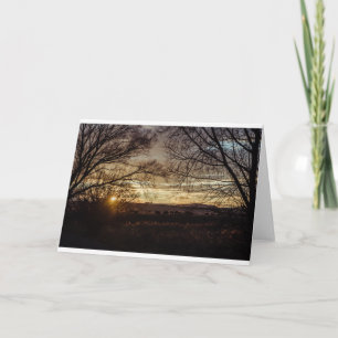 Sunset rural view - cows and trees card