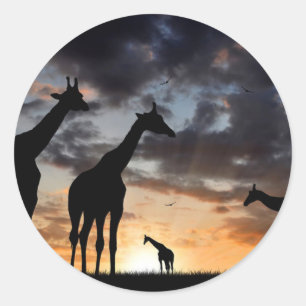sunset safari wild animal giraffe silhouette classic round sticker