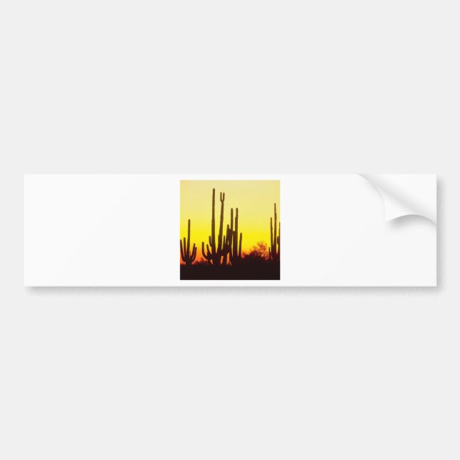Sunset Saguaro Cactus At Bumper Sticker (Front)