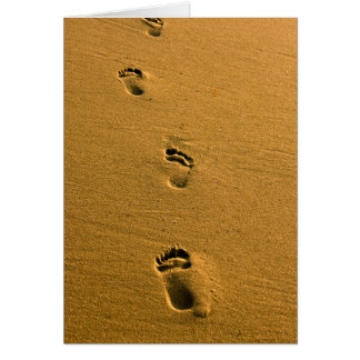Sunset Sand