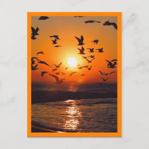 Sunset Scene Orange Border Postcard
