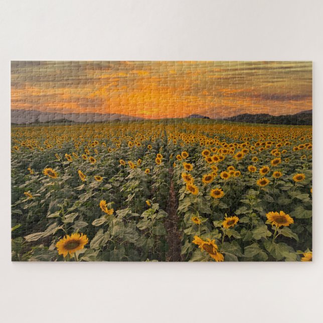 Sunset Scenery Landscape Nature Sunflower Field Jigsaw Puzzle (Horizontal)
