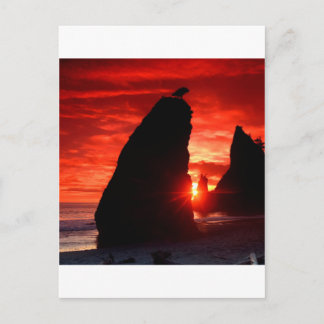 Sunset Sea Stacks Blood Red Postcard