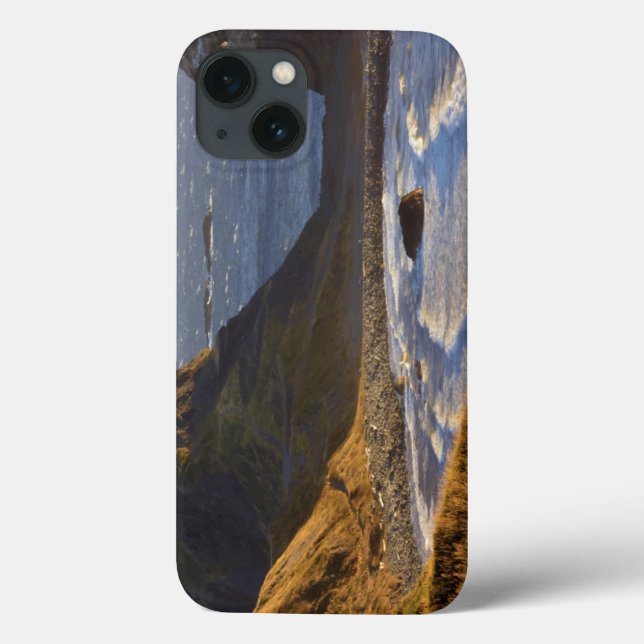 Sunset, Sea Stacks, Sisters, Oregon Coast Case-Mate iPhone Case (Back)
