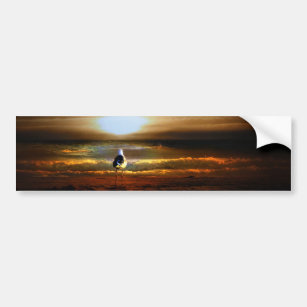 Sunset Seagull Bumper Sticker