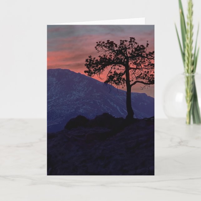 Sunset Sentinel Card (Front)