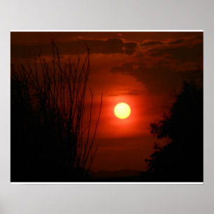 Sunset Serenade Poster