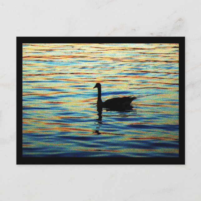 sunset sitdown postcard (Front)