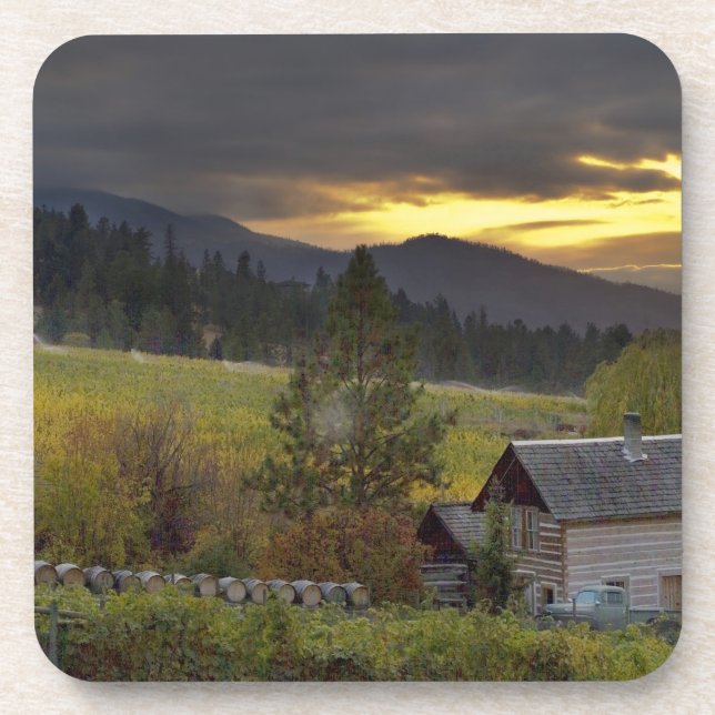 Sunset sky over vineyards and historic log cabin coaster (Front)