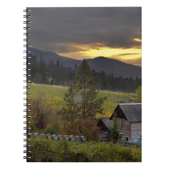 Sunset sky over vineyards and historic log cabin notebook (Front)