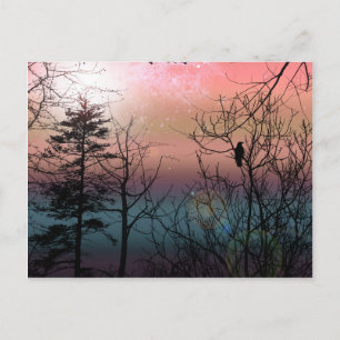 Sunset Solitude Gothic Landscape Fantasy Postcard