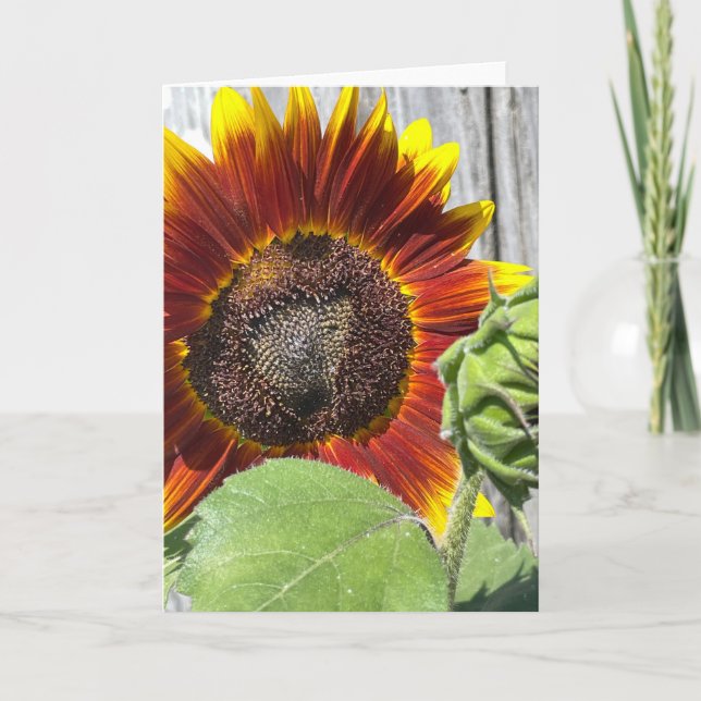 Sunset Sunflower  Invitation (Front)