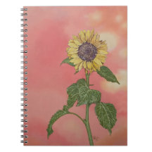 Sunset Sunflower
