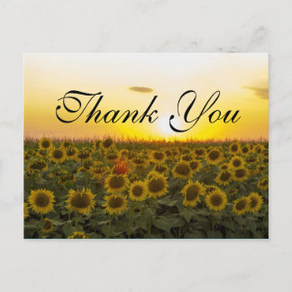 Sunset sunflowers Thank you card