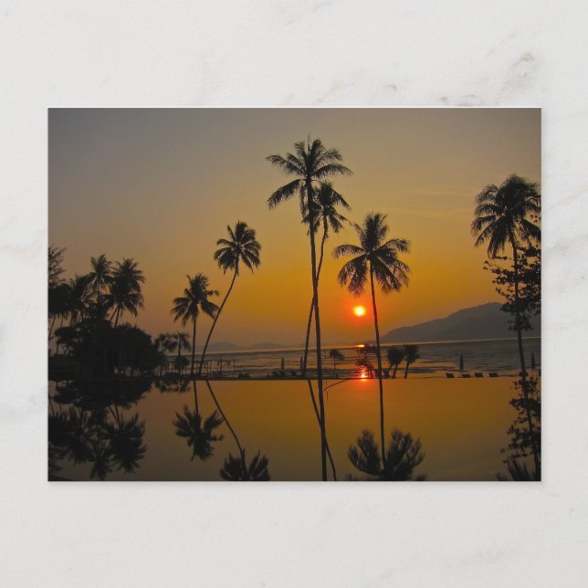 Sunset/ sunrise postcard (Front)