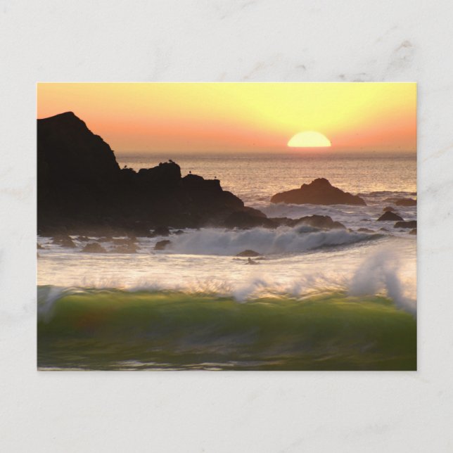 Sunset surfer postcard (Front)