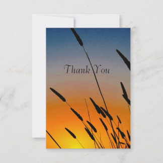 Sunset Thank You Card