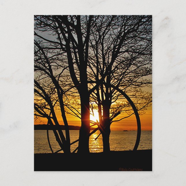 Sunset Through Art Postcard (Front)