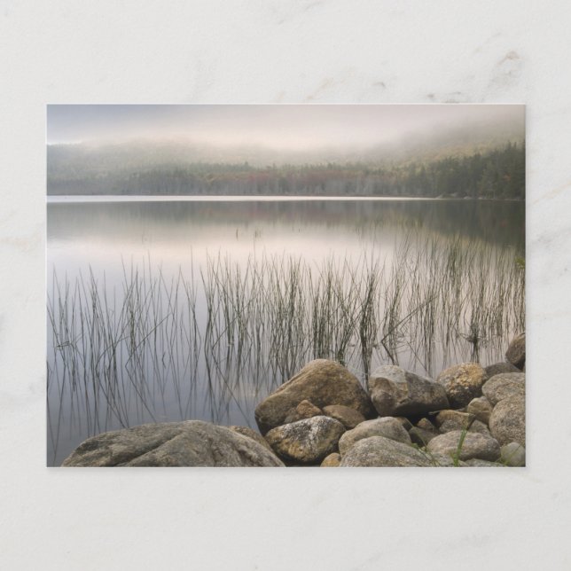 Sunset through fog over Upper Hadlock Pond Postcard (Front)