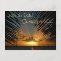 Sunset Through Palm Fronds Save the Date Postcard