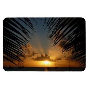 Sunset Through Palm Fronds Tropical Seascape Magnet