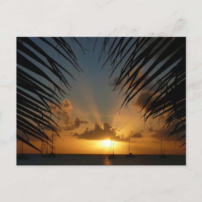 Sunset Through Palm Fronds Tropical Seascape Postcard (Front)