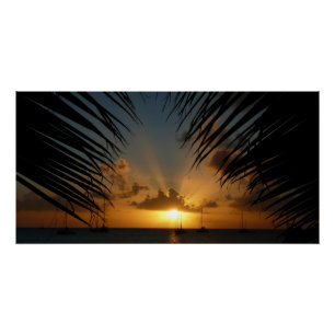 Sunset Through Palm Fronds Tropical Seascape Poster