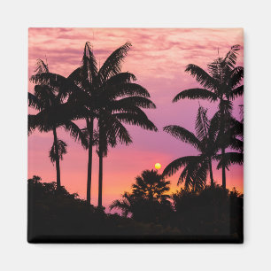 Sunset through Palm Trees Magnet