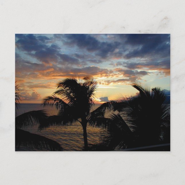 Sunset Through The Palms Postcard (Front)