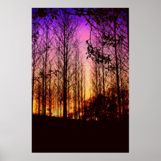 sunset through the trees colour changed poster