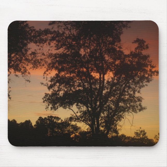 Sunset Through the Trees Mouse Pad (Front)
