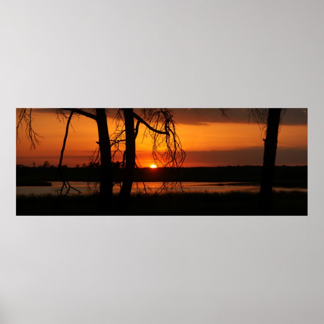 Sunset through the trees poster (Front)