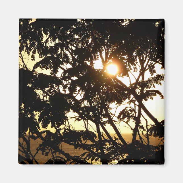 Sunset Through Trees I Tropical Photography Magnet (Front)