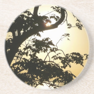 Sunset Through Trees II Tropical Photography Coaster