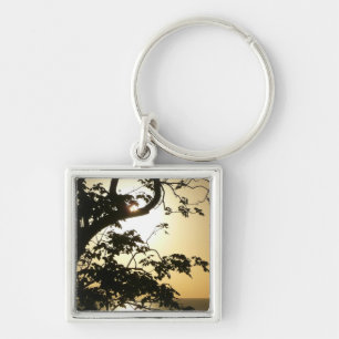 Sunset Through Trees II Tropical Photography Key Ring