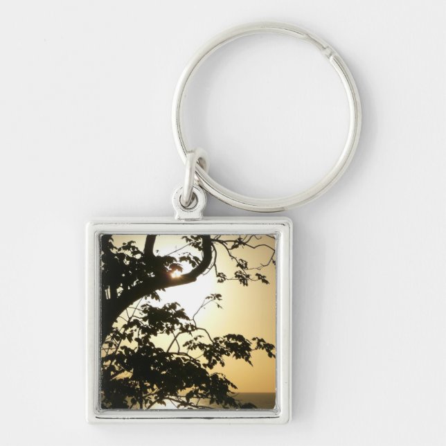 Sunset Through Trees II Tropical Photography Key Ring (Front)