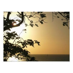 Sunset Through Trees II Tropical Photography Photo Print