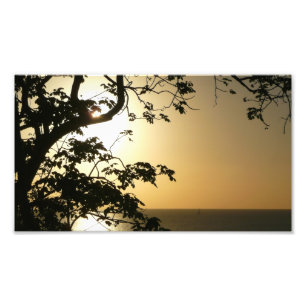 Sunset Through Trees II Tropical Photography Photo Print